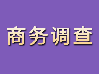 钢城商务调查